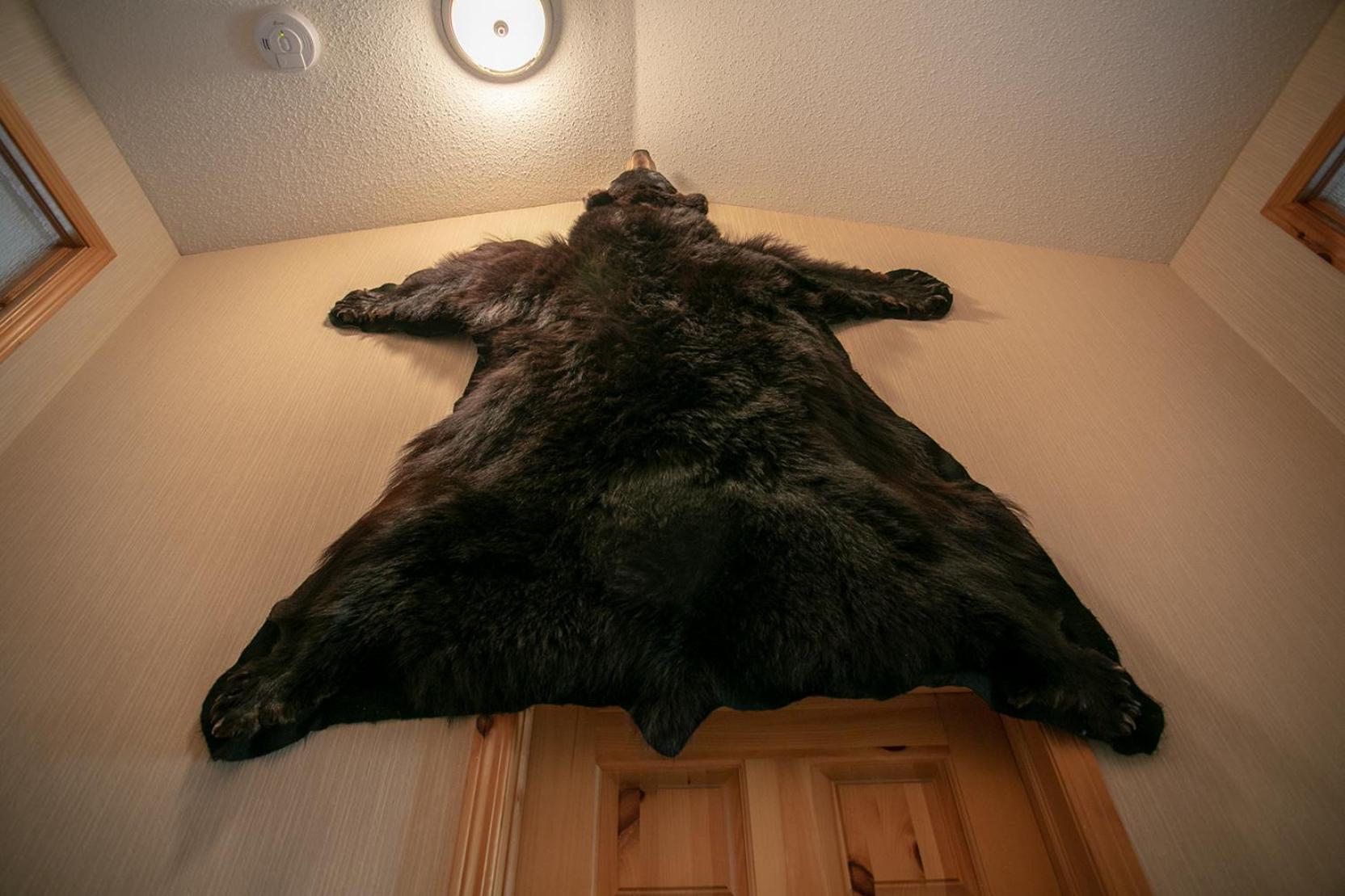 Banff Wood Lodge Canmore Bagian luar foto